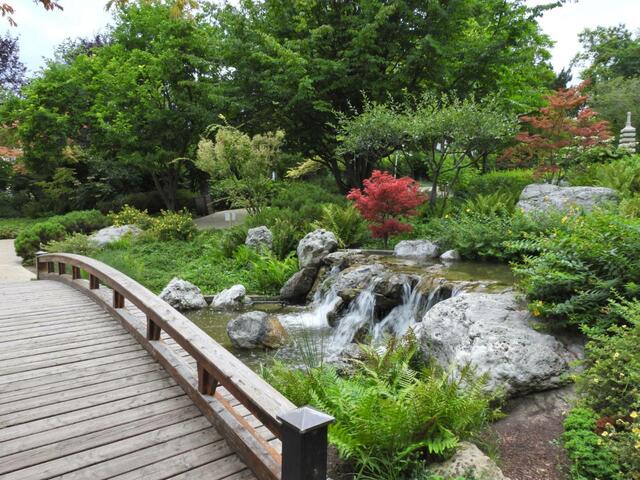 Foto: Zuzana Kobesova 2024