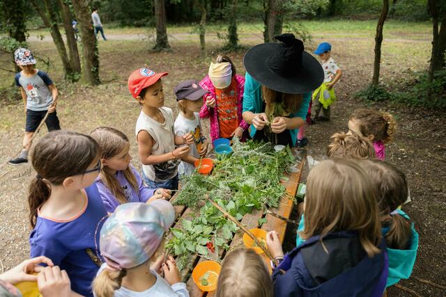 Kräuter aus dem Helenental | Foto: 2024psb/c.kollerics