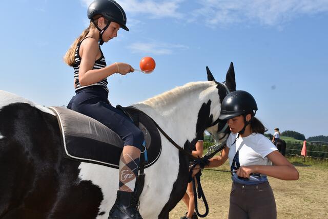 Reiter-Camp am Erlöebnishof Steinkellnergut, Pabneukirchen/St. Georgen am Walde. | Foto: Zinterhof