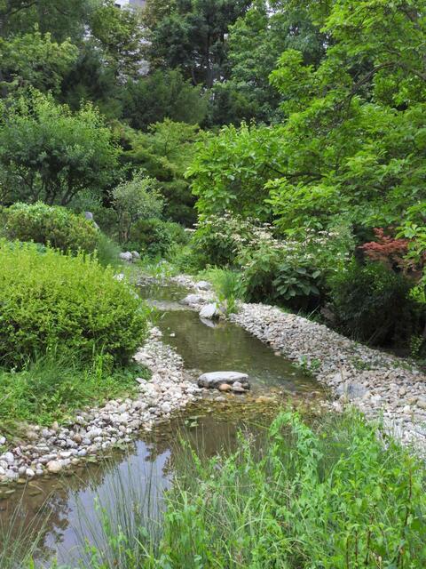 Foto: Zuzana Kobesova 2024