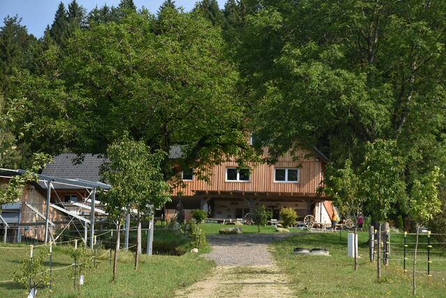 Reiter-Camp am Erlöebnishof Steinkellnergut, Pabneukirchen/St. Georgen am Walde. | Foto: Zinterhof