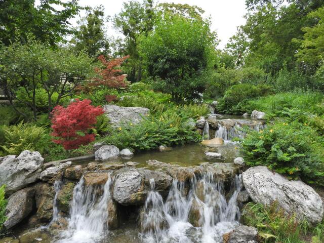 Foto: Zuzana Kobesova 2024