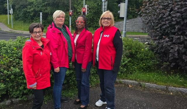 Von links: Ingeborg Hinterhölzl, Andrea Pawlicek, Beverley Allen-Stingeder und Doris Kremeier fordern neue Kassenstellen für Gynäkologie im Bezirk Urfahr-Umgebung. | Foto: SPÖ-Frauen
