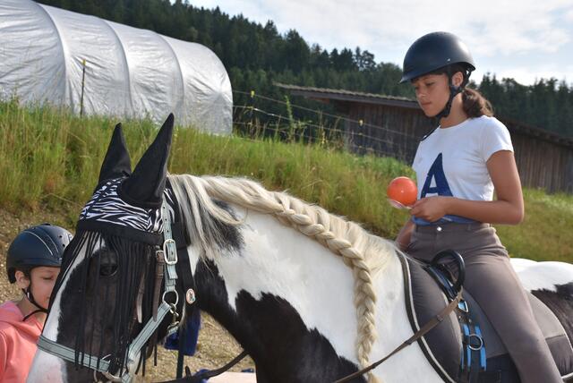 Reiter-Camp am Erlöebnishof Steinkellnergut, Pabneukirchen/St. Georgen am Walde. | Foto: Zinterhof