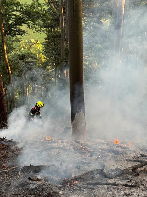 Waldbrand durch Blitzschlag in Thernberg | Foto: www.einsatzdoku.at