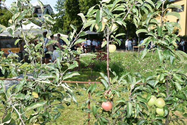 Eröffnung Stadt-Garten Grein (am Greinerbach).