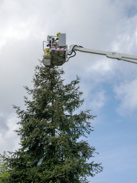 Rettung des Jungstorches © Bernhard Rosenberger