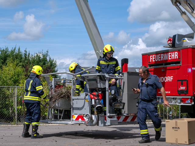Rettung des Jungstorches © Bernhard Rosenberger