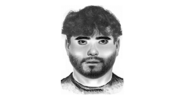 Phantombild: Die Polizei in Wieselburg sucht einen mutmaßlichen Vergewaltiger. | Foto: Landespolizeidirektion Niederösterreich