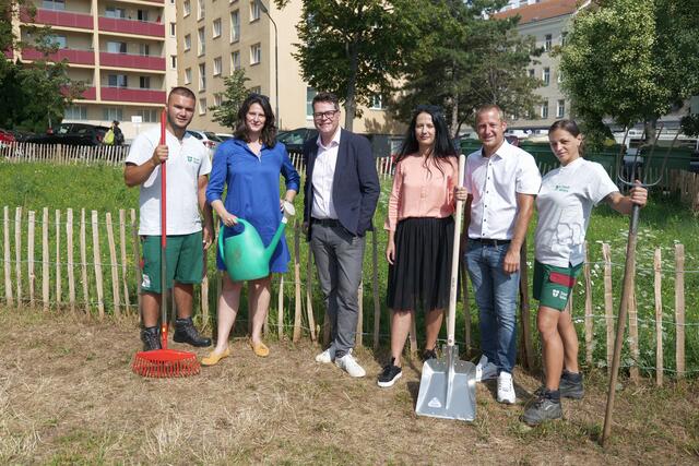 An der Ecke Leberstraße und Hauffgasse ist eine grüne Wiese für Insekten entstanden. | Foto: Max Spitzauer