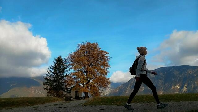 Am Sonntagnachmittag kam es am Berg bei Nesselwängle zu einem Steinschlag, bei dem eine Wanderin verletzt wurde. | Foto: Theres Döller (Symbolbild)