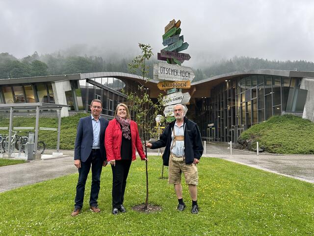 Dirndlstauden für das Betriebszentrum Laubenbachmühle (von links): Mariazellerbahn-Dienststellenleiter Anton Hackner, Niederösterreich Bahnen Geschäftsführerin Barbara Komarek und Hans Weiß von den Steinschaler Naturhotels. | Foto: NB/Niederer