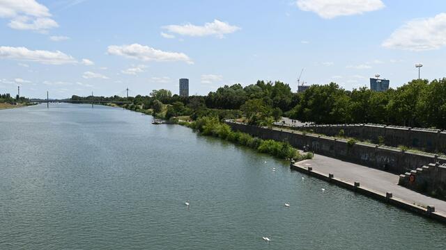 Neue Donau von der Reichsbrücke gesehen,  Blick nach Süden