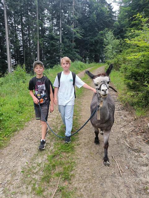Foto: BG Babenbergerring