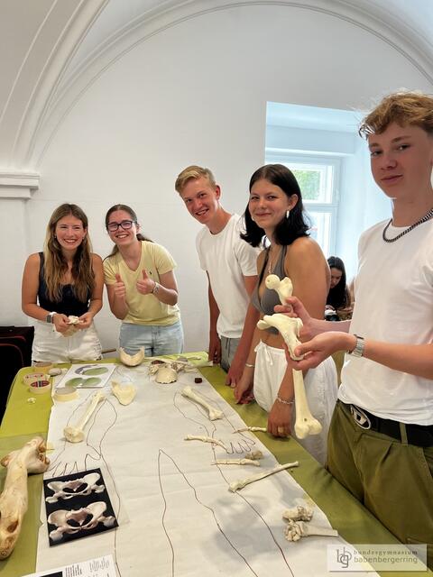 Foto: BG Babenbergerring
