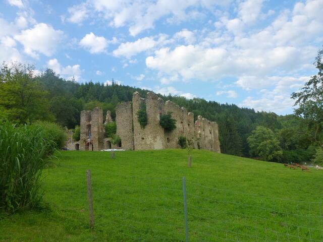 Die Ruine in Perwarth soll bald als Event-Location fungieren. | Foto: Heidemarie Rottermanner
