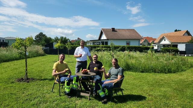 Bürgermeister Felix Medwenitsch und Amtsleiter Reinhard Urbanich mit dem Bauhofteam Hermann Wukotitsch und Oliver Kruckenfellner beim symbolischen Verkosten der „ersten Früchte“ | Foto: Gemeinde Hof/Leithaberge