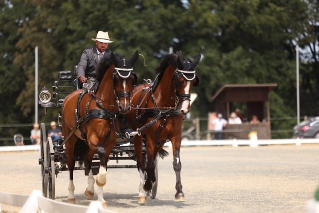 David Hötsch vom RFV Zurndorf holt sich den Meistertitel in Poppendorf. | Foto: Josef Szot
