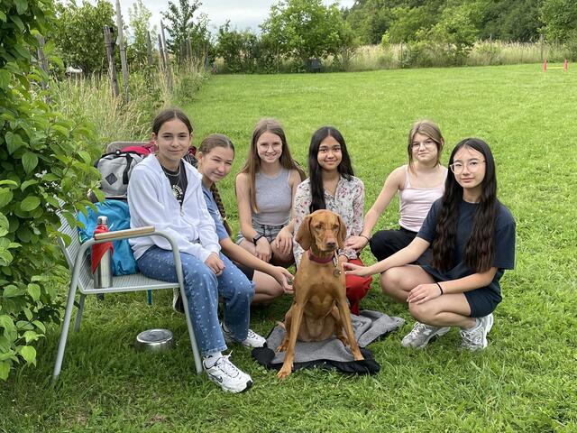 Die Schülerinnen hatten ihre Freude mit Hunden. | Foto: BG Babenbergerring