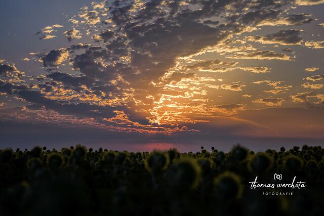 Foto: Thomas Werchota