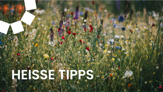 „Ein Rhizom ist ein unterirdischer, in der Regel waagerecht wachsender Pflanzenstamm, der Nährstoffe und Wasser speichern sowie neue Triebe und Wurzeln bilden kann und der Pflanze das Überdauern widriger Bedingungen wie Hitze oder Frost ermöglicht." (Katja Batakovic) 