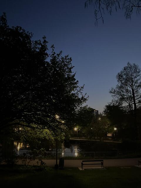 Abendstimmung am Hilmteich | Foto: Julia Glajncer