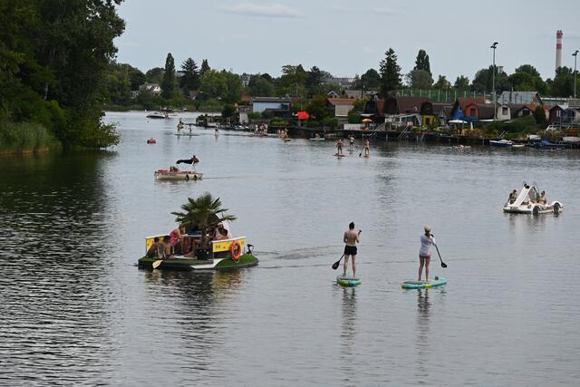 Das bunte Leben auf der Alten Donau