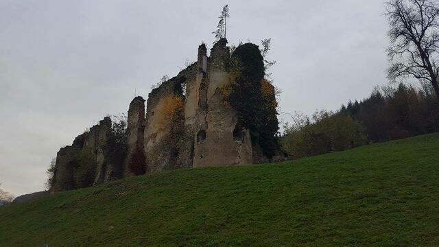 Die Ruine in Perwarth soll bald als Event-Location fungieren. | Foto: Maria Punz