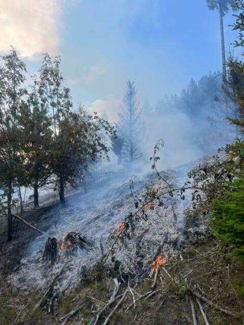 Waldbrand zwischen Forchtenstein und Hochwolkersdorf. | Foto: Bezirkspresseteam BFKDO Wiener Neustadt, FF Ofenbach