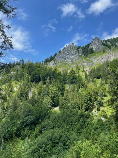 Die Mitglieder des Alpenvereins unternahmen eine schöne Bergtour in Lunz am See.