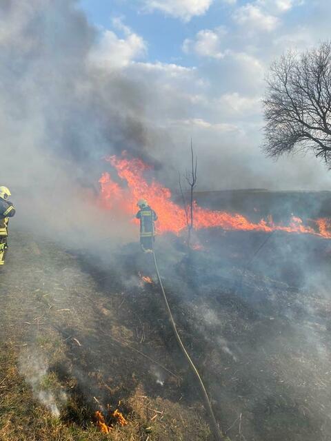 Hitze und Trockenheit machen die burgenländischen Wälder und Fluren zu potenziellen Brandherden. | Foto: LFV Bgld. 