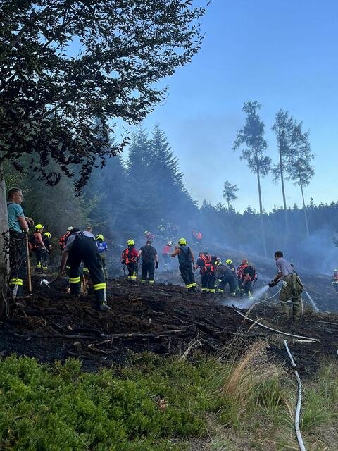 Rund 200 Einsatzkräfte aus dem Burgenland und aus Niederösterreich rückten am Dienstag zu einem Waldbrand aus.  | Foto: BFKDO Wr. Neustadt, FF Ofenbach