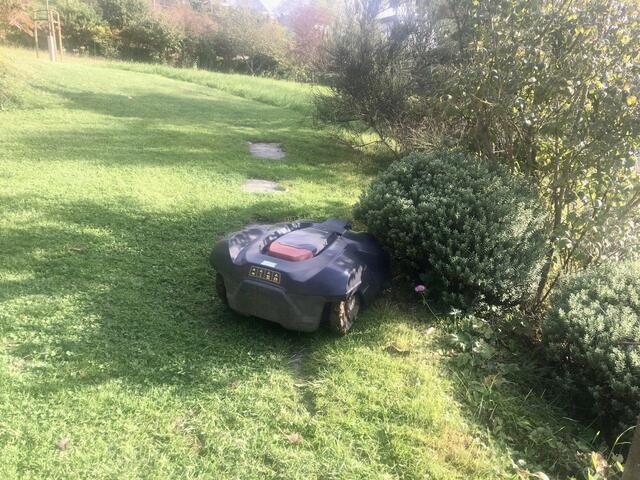 Verzichten Sie auf den Mähroboter in Ihrem Garten. © H. Kurz