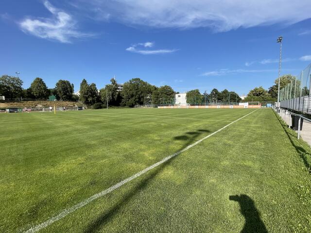 Foto: Philipp Scheiber