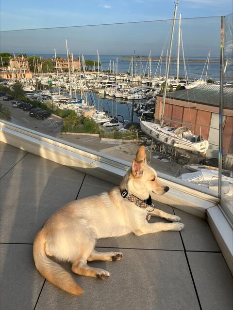 Kara im Familienurlaub. | Foto: privat