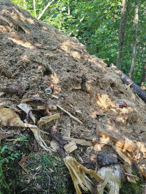 Großteils waren es Sägemehl und Holzabfabfälle, die entsorgt wurden. Bei genauem Hinschauen erkennt man auch Bierdosen.