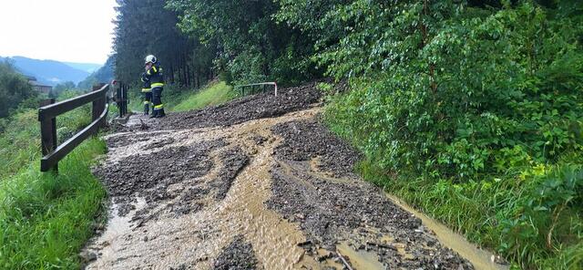 Foto: BTF voestalpine Böhler Bleche Bleche