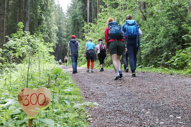 Von Wanderungen in den erwähnten Gebieten wird derzeit stark abgeraten. | Foto: Salzburg Research