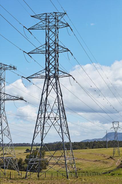 Die Neos sprechen sich gegen eine Freileitung aus und steht hinter der IG Landschaftsschutz Mühlviertel. | Foto: Peopleimages/PantherMedia