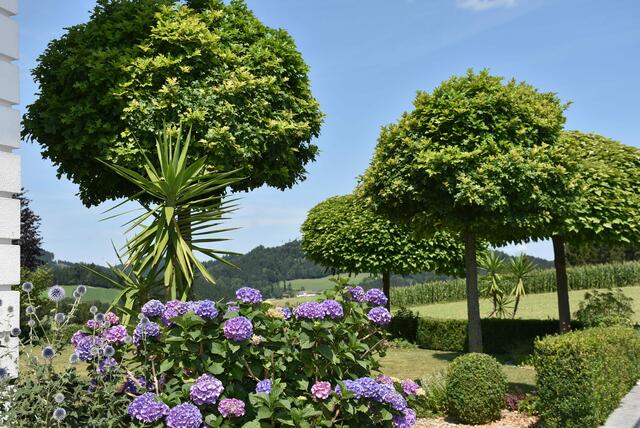 Blumenschmuck-Aktion Pabneukirchen 2024, Ortsbauernschaft und Kulturreferat der Gemeinde.  | Foto: Zinterhof
