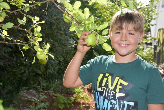 Blumenschmuck-Aktion Pabneukirchen 2024, Ortsbauernschaft und Kulturreferat der Gemeinde.  | Foto: Zinterhof