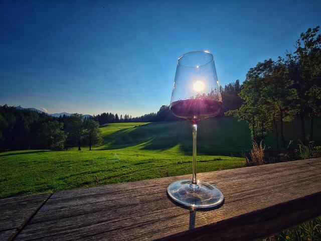 Das Weingut Hundsdorfer wurde als SALON-Sieger gekürt. | Foto: Christian Hahn