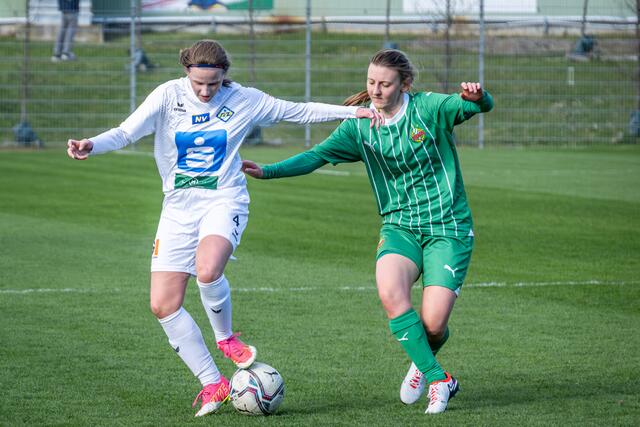 Foto: SC Zwettl/Archiv/Almeder