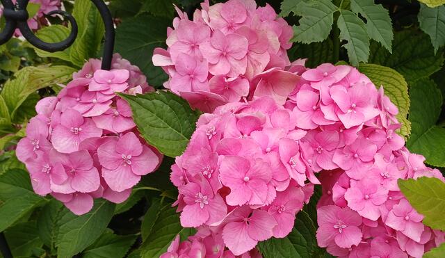 Foto: (c) Edith Mair