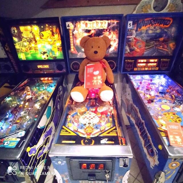 Teddy ist im Flipper-Fieber! | Foto: Sport- und Spielverein Multiplayer