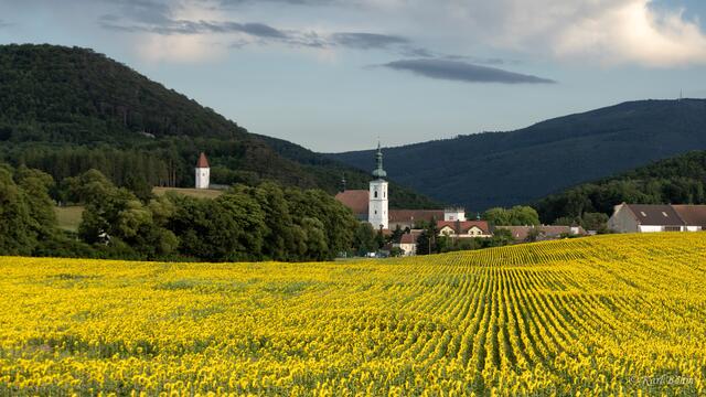Foto: Karl Böhm