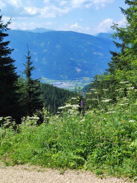 von Gaishorn am See sind wir heraufgefahren... | Foto: I.Wozonig