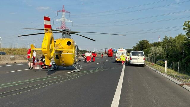 Mehrere Hubschrauber waren im Einsatz und flogen die Verletzten in die Krankenhäuser. | Foto: DOKU-NÖ
