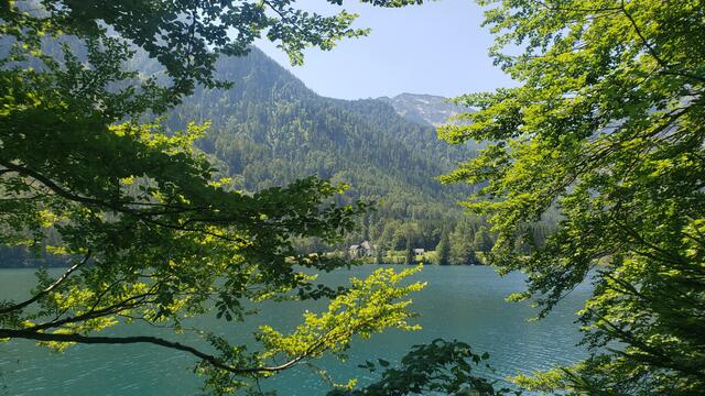 Schöner Durchblick zur ehemalig kaiserlichen Jagdvilla, die Kaiser Franz Josef als Ausgangspunkt für seine jagdlichen Streifzüge durch die Wälder diente.
Heute gehört sie den Österreichischen Bundesforsten.