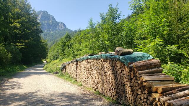 Das ordentlich geschlichtete Buchenholz ist mir am Rückweg aufgefallen.
Es war ein wunderbarer Wandertag.
VIELEN DANK, dass ihr mich begleitet habt.🤗